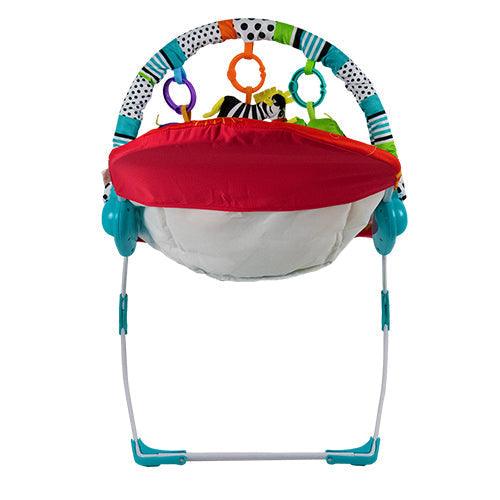 Music & Vibration Baby Bouncer
