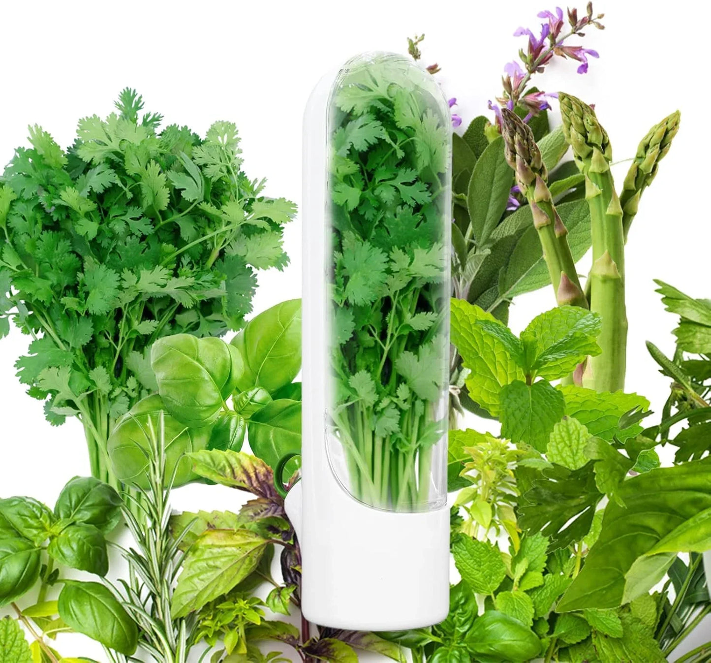 Fresh Herb Saver