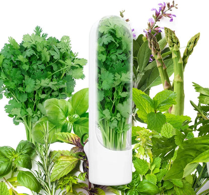 Fresh Herb Saver
