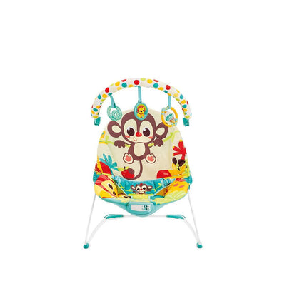 Mastela Newborn to Toddler Baby Rocker