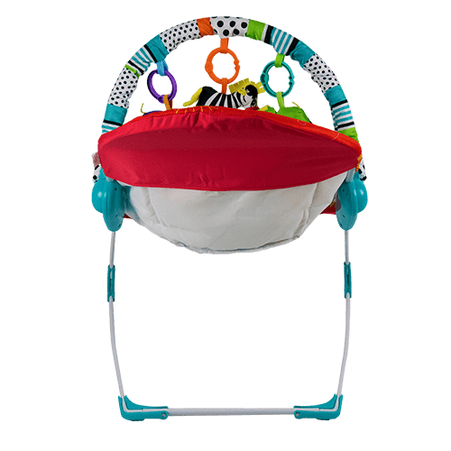 Music & Vibration Baby Bouncer