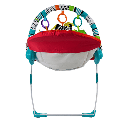 Music & Vibration Baby Bouncer