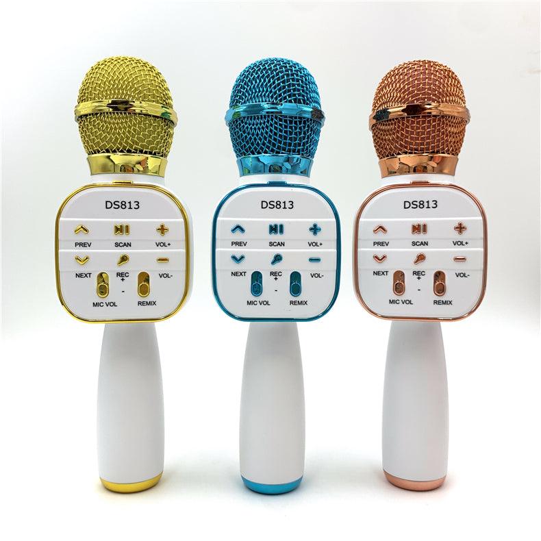 Wireless Microphone HiFi Speaker for Kids (DS813)