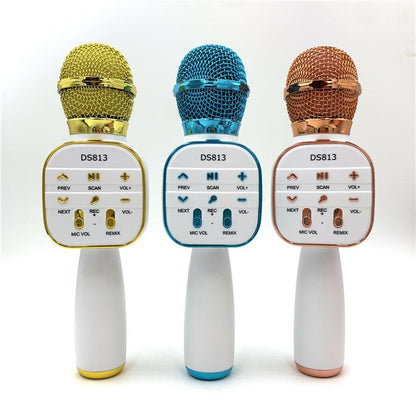 Wireless Microphone HiFi Speaker for Kids (DS813)