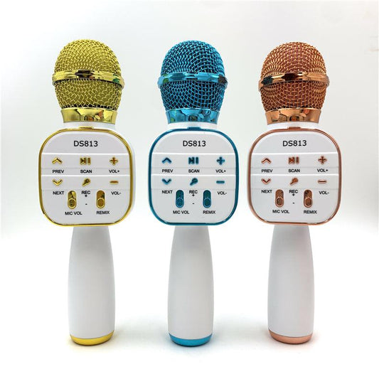 Wireless Microphone HiFi Speaker for Kids (DS813)