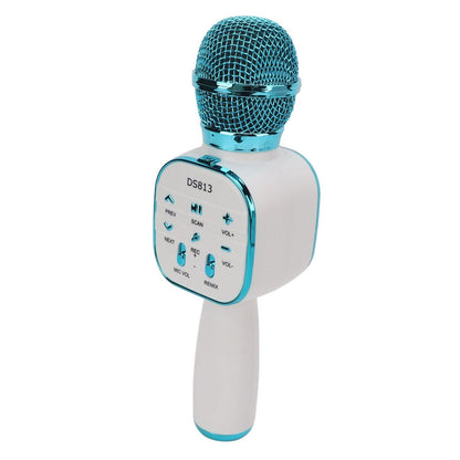 Wireless Microphone HiFi Speaker for Kids (DS813)