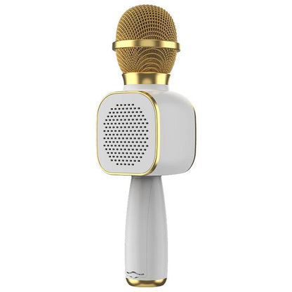 Wireless Microphone HiFi Speaker for Kids (DS813)