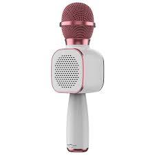 Wireless Microphone HiFi Speaker for Kids (DS813)