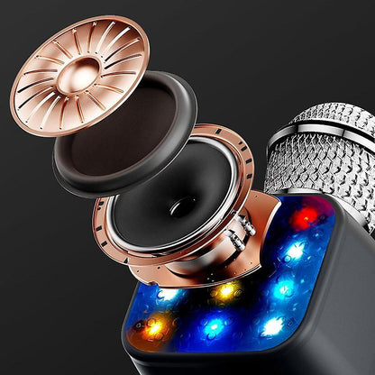 Wireless Microphone HiFi Speaker for Kids (Q13)
